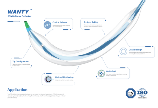 PTA Balloon For Peripheral Arterial Disease PTA Balloon For Peripheral Arterial Disease